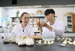 扎心了,老鐵 最容易被人誤解的這些專業(yè),你知道嗎